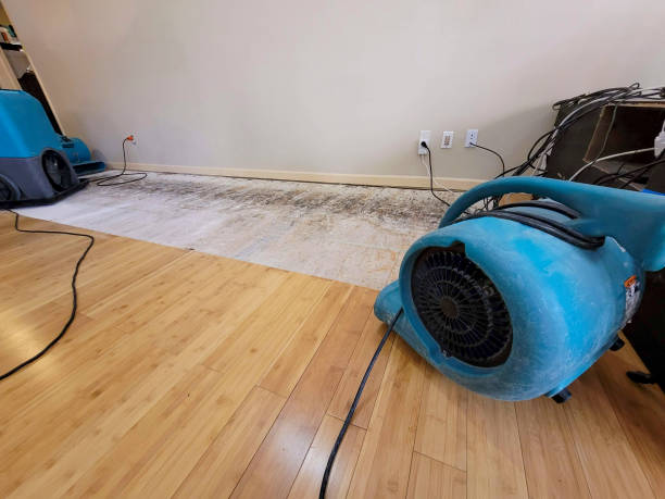 Professional Basement Flood Cleanup technician working in Bel Air, MD